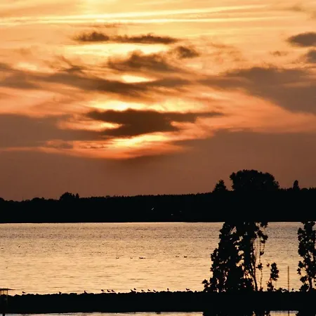 Apartment 1 Bedroom Gorgeous In *