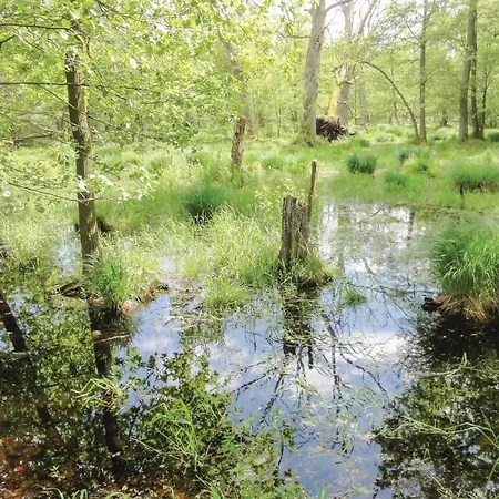 1 Bedroom Gorgeous In