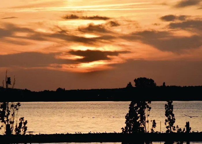 شقة 1 Bedroom Gorgeous In *