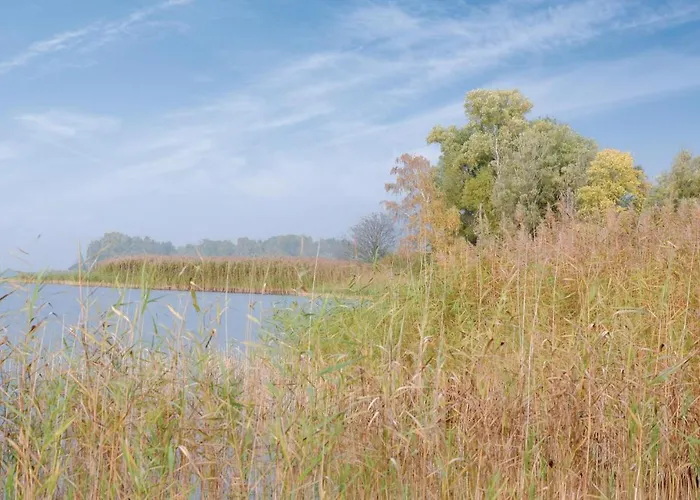 1 Bedroom Gorgeous In شقة