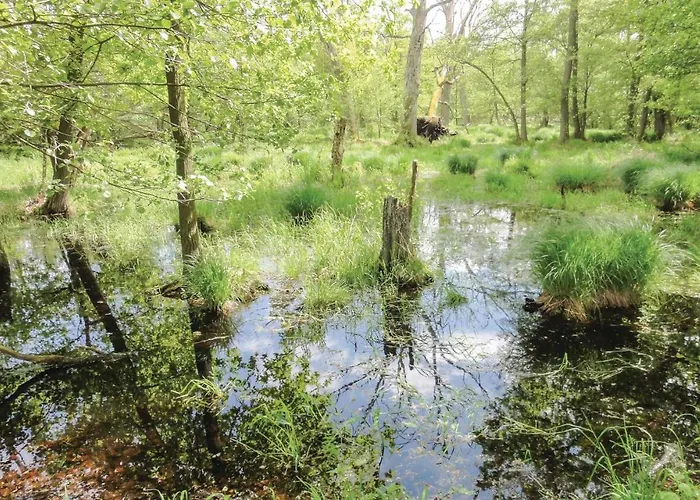 1 Bedroom Gorgeous In